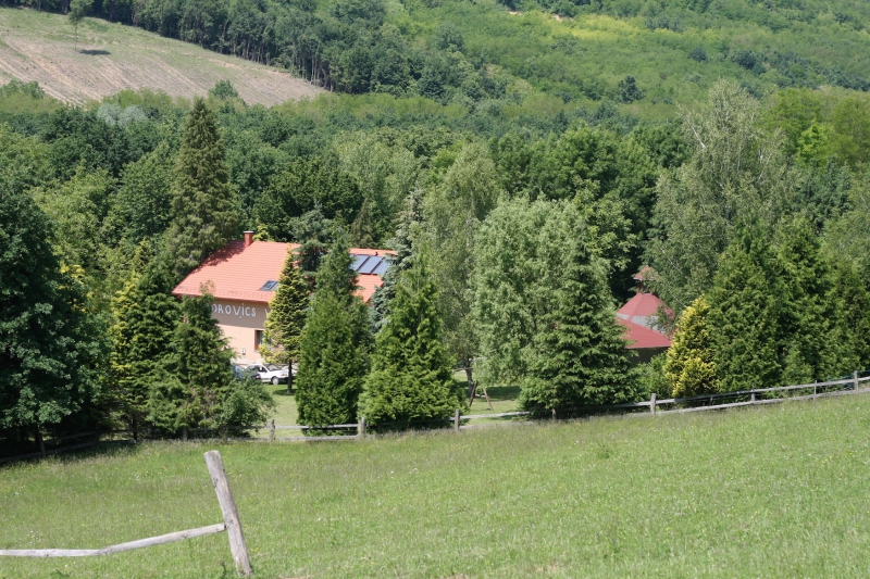 Borovics Vendégház