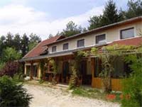 �rs�gi Mad�rf�szek Panzi�/Vend�gh�z - Kisr�kos
