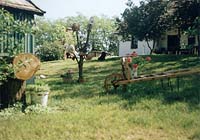 Bihari tanya