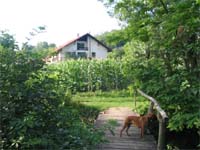 Erdőalja-Vendégház