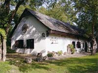 Lukáts Tanya