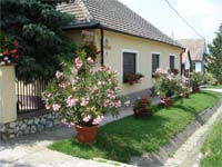 Musk�tlis h�z