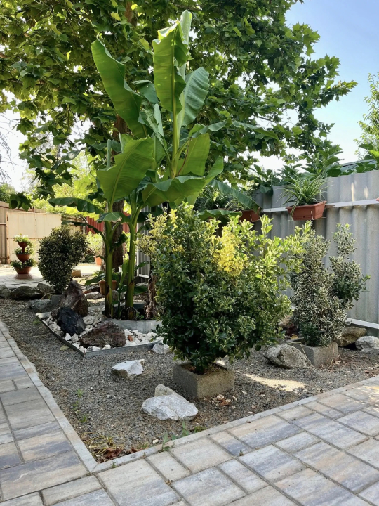 Apartman Merops - Berekfürdő