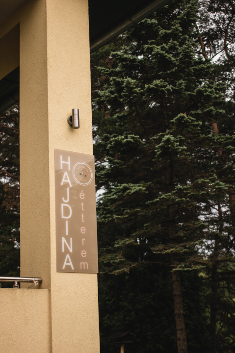 Ap�t Panzi� �s �tterem - Ap�tistv�nfalva