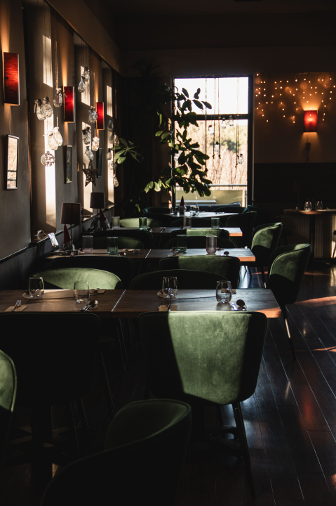 Ap�t Panzi� �s �tterem - Ap�tistv�nfalva