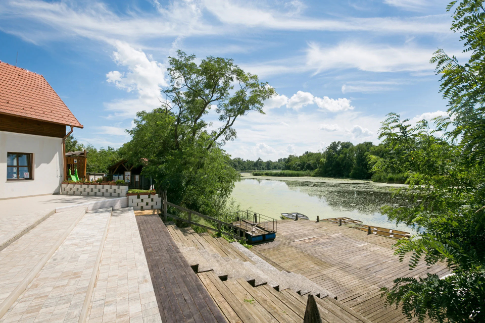 Bark�scinege Vend�gh�z-G�berj�n