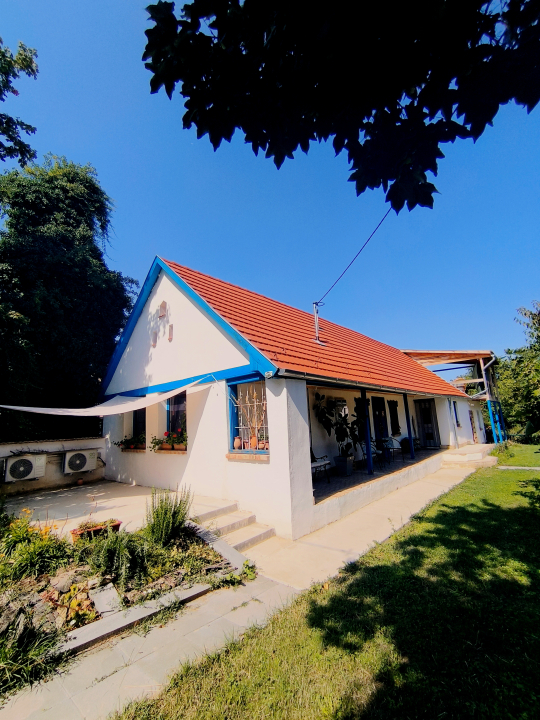 Blue Forest Retreat