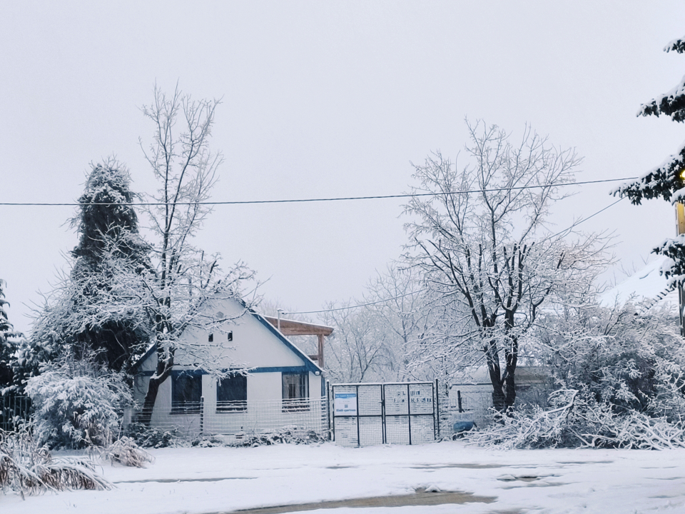 Blue Forest Retreat - Mánfa