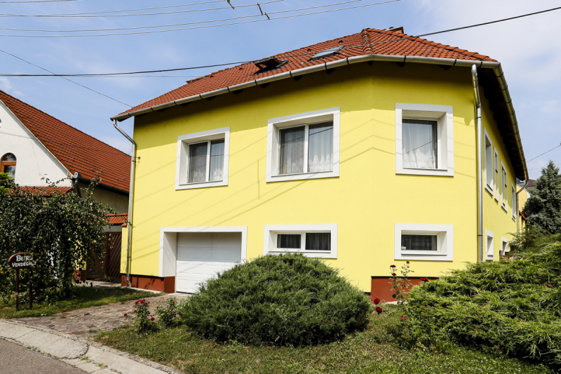 Burg Vendghz - Eger