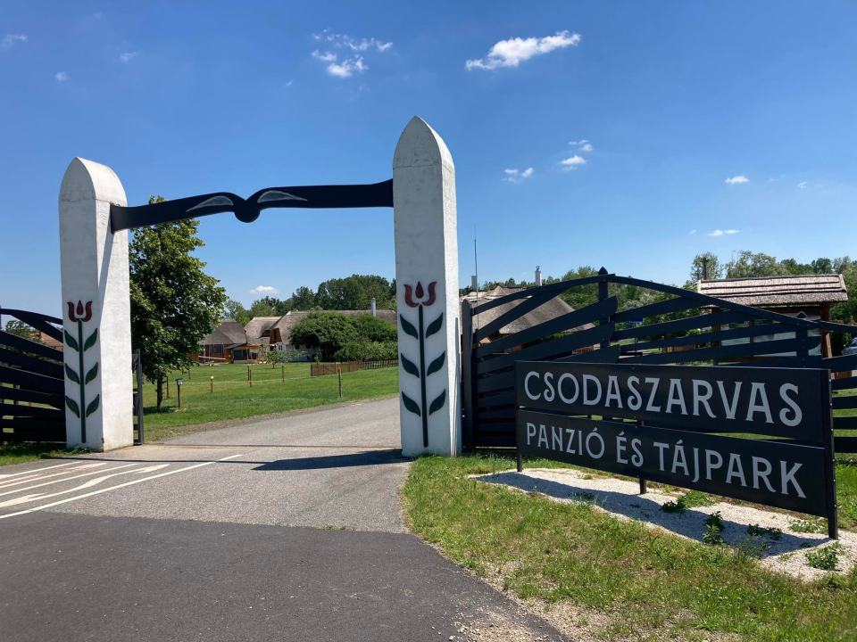 Csodaszarvas Panzi s Tjpark - Rbahdvg