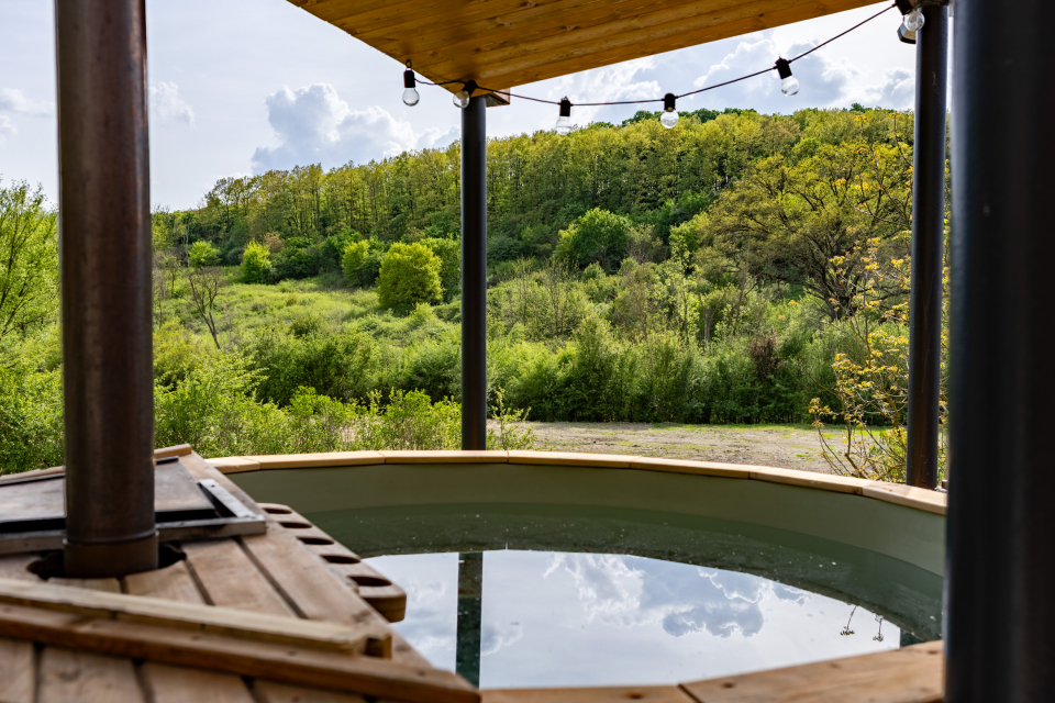 Diófaliget vendégház - Pogány