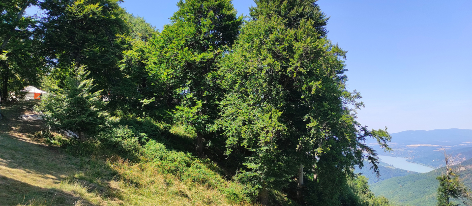 Dobogki Jurtaszllsok