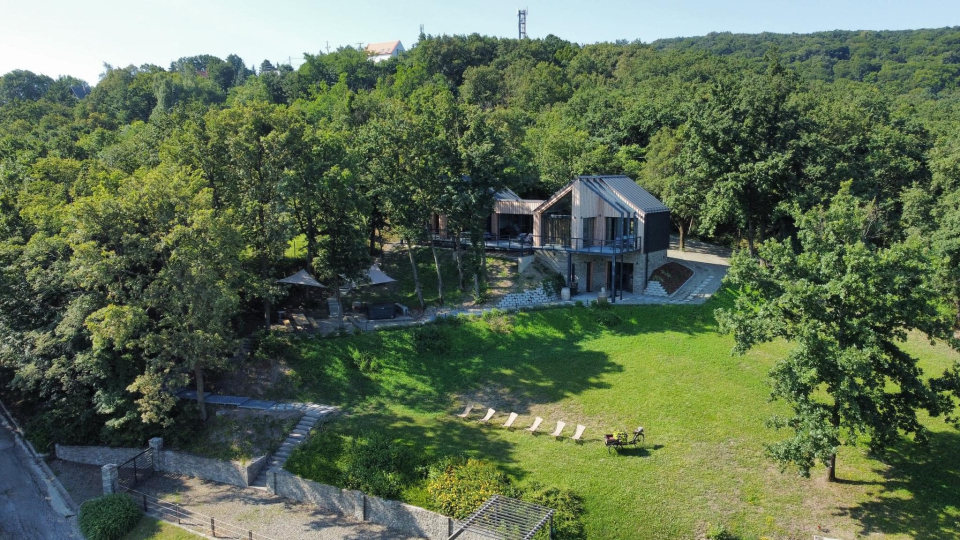 DOG HILL Apartman - Dunabogdny