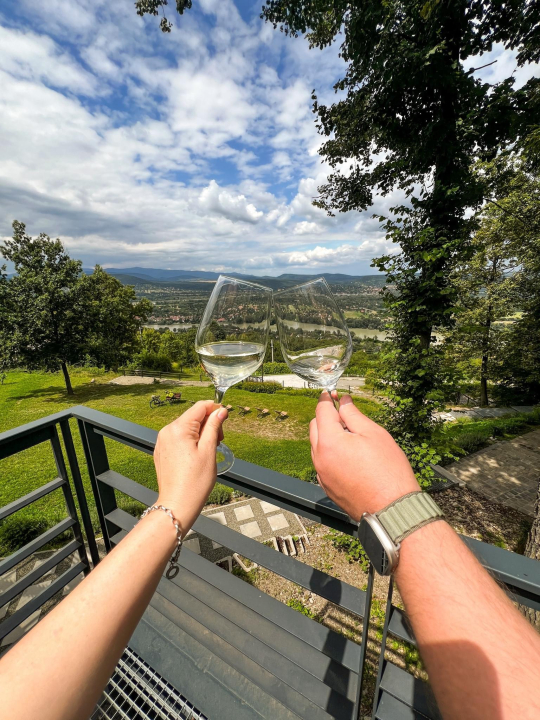DOG HILL Apartman - Dunabogdny