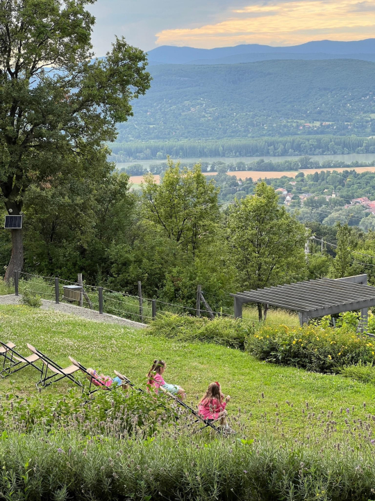 DOG HILL Apartman - Dunabogdny