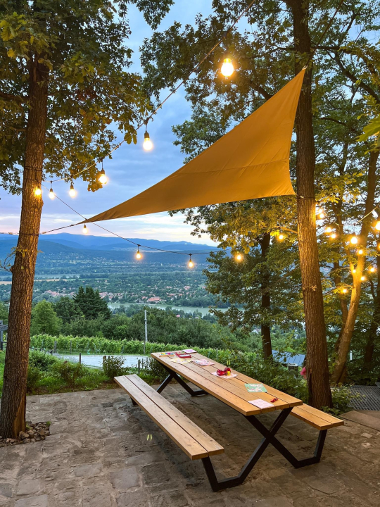 DOG HILL Apartman - Dunabogdny