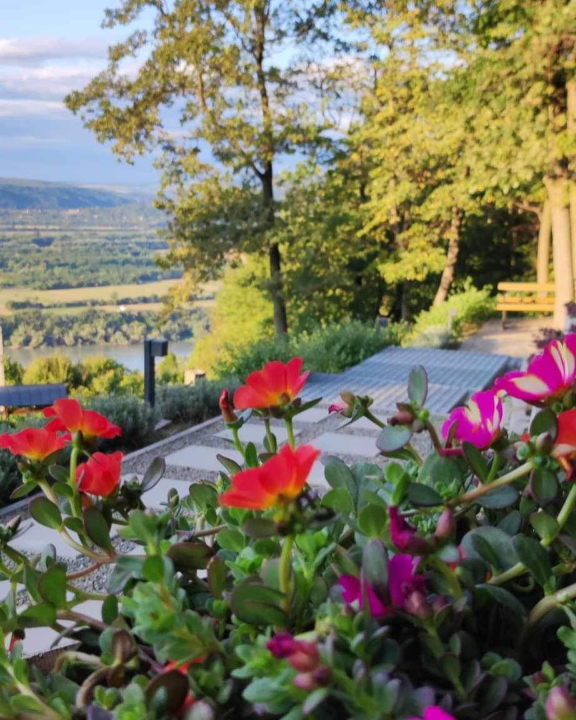 DOG HILL Apartman - Dunabogdny