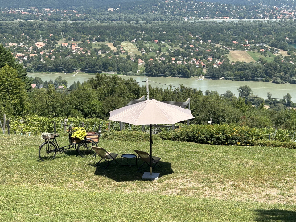 DOG HILL Apartman - Dunabogdny