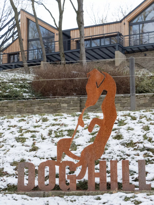 DOG HILL Apartman - Dunabogdny