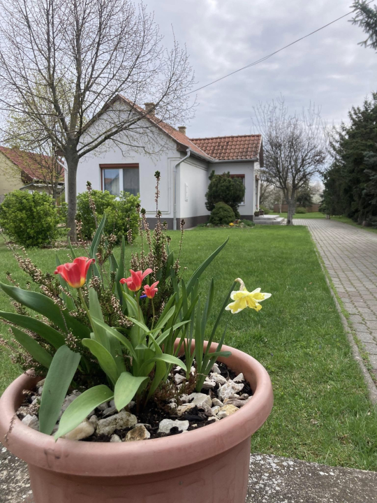 Erzs�bet Vend�gh�z