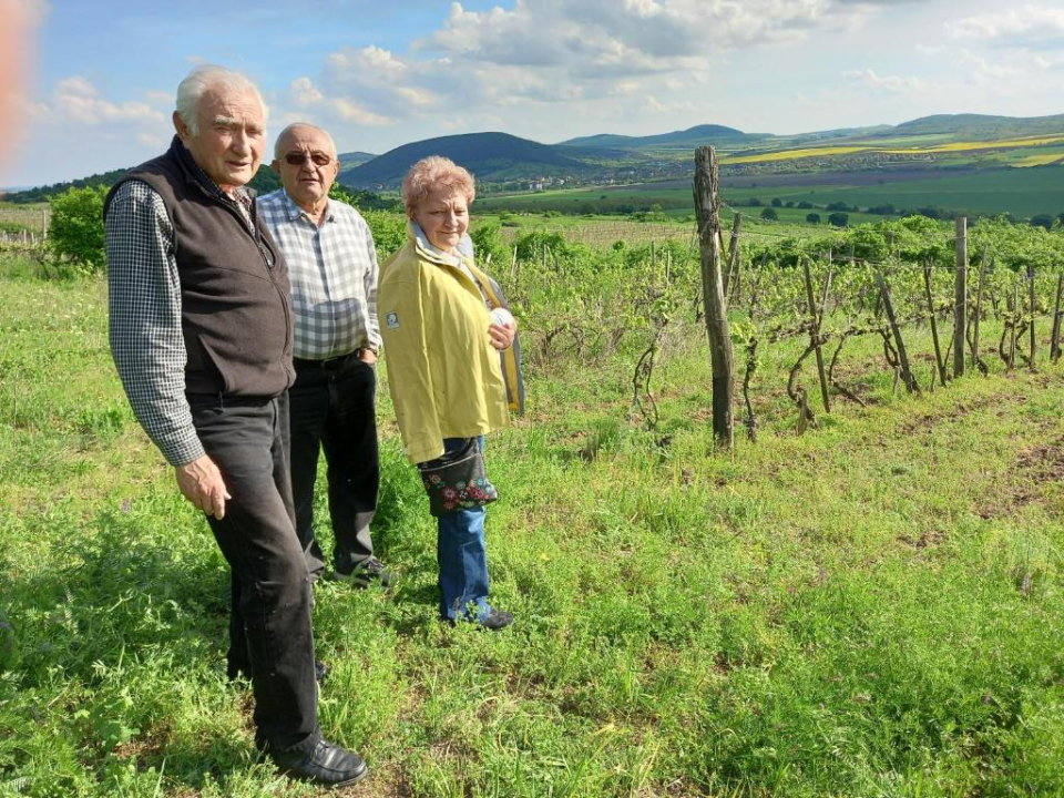 Galambos Pincszet s Vendghzai - Abajsznt