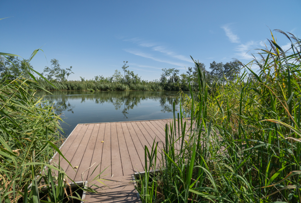 GL Horg�sz�d�l� �s Kemping - Szalkszentm�rton