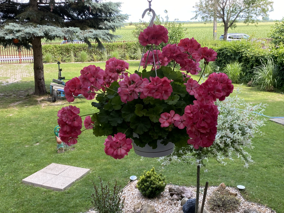 Icuka Vendégháza - Kiskunlacháza