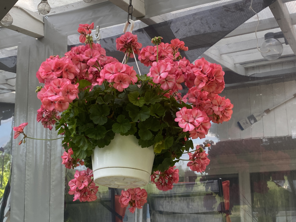 Icuka Vendégháza - Kiskunlacháza