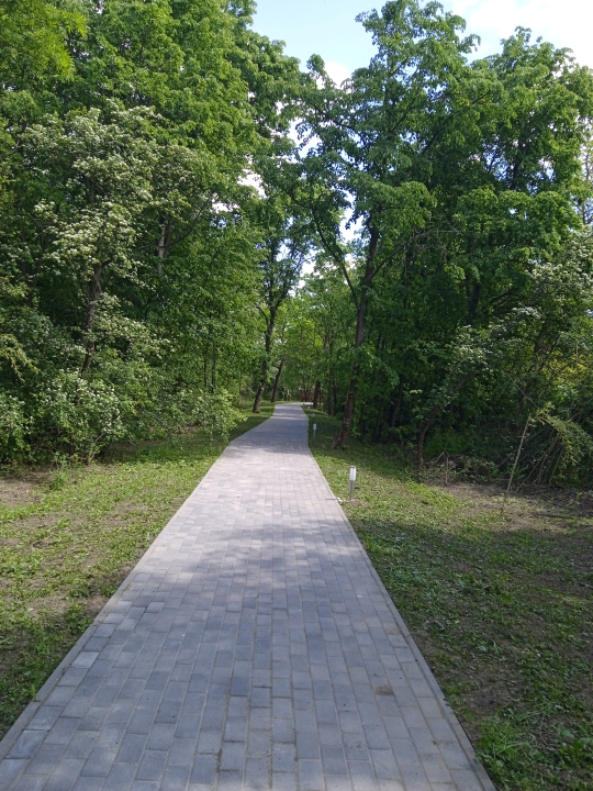 Bodrogolaszi Ifjúsági Sportszálló és Szabadidő Park - Bodrogolaszi