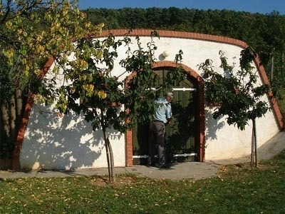 Ignáczy Apartman, Borpince