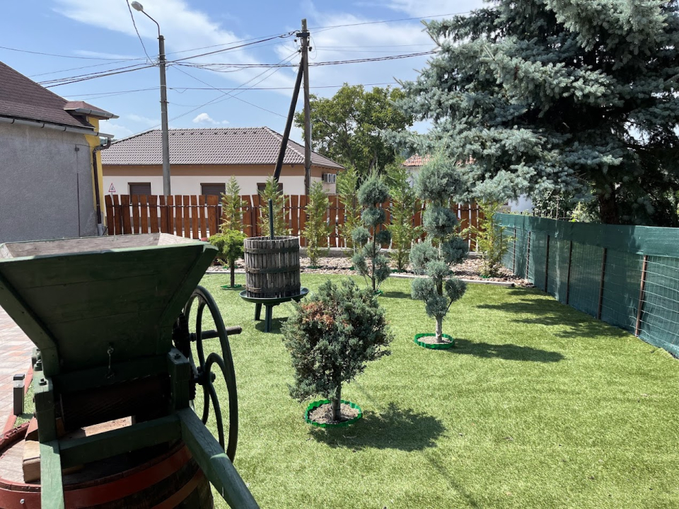 Izabella Apartman - Bog�cs