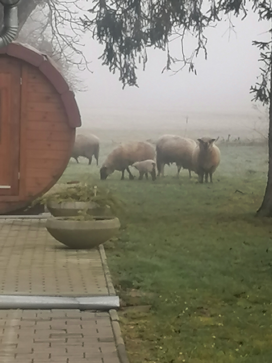 Jakuzzis - Szauns - Kerka Vendghz - rsg - Csesztreg-Kerkajfalu