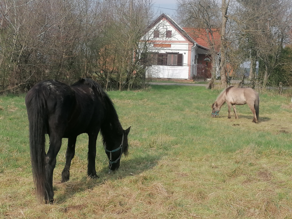 Kerkavend�gh�z - �RS�G - Csesztreg - Kerkaujfalu - Csesztreg-Kerka�jfalu