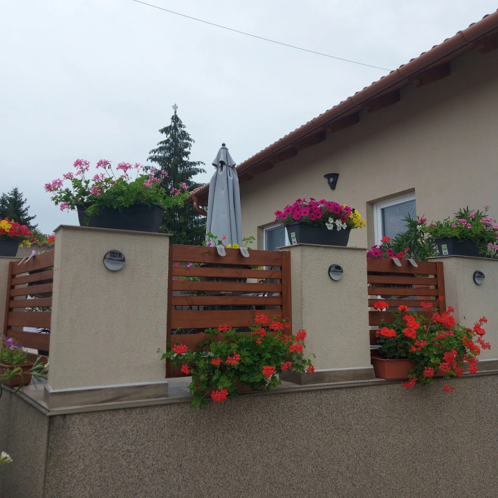 Kir�ly Vend�gh�z - B�kksz�k