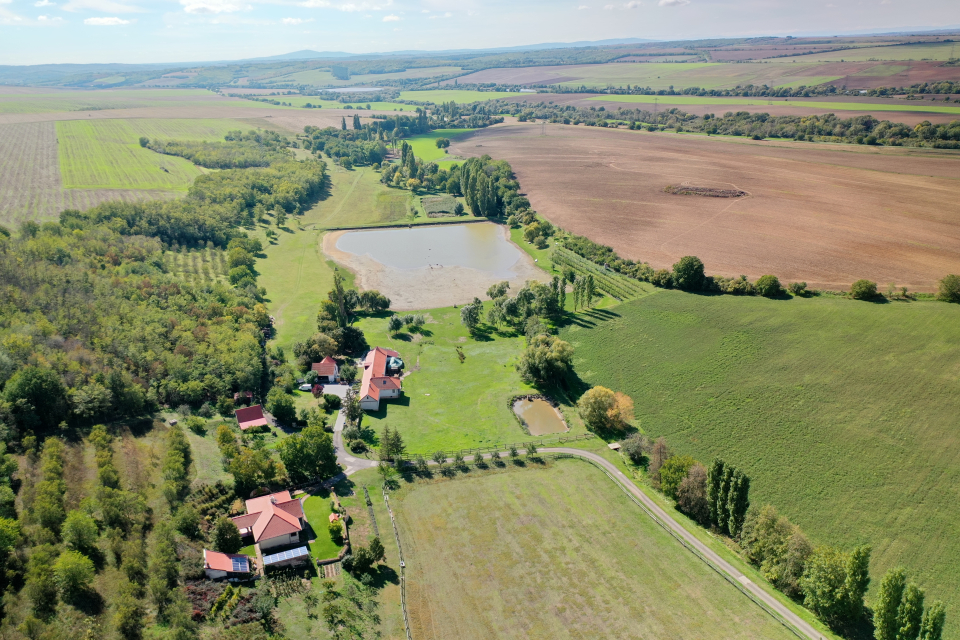 Kishosszrt Vendghz - Pcsvrad