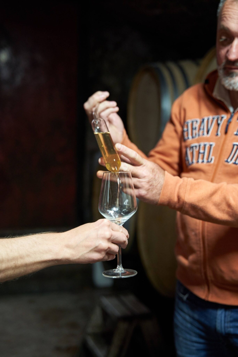 Kolonics pincészet vendégház - Somlóvásárhely