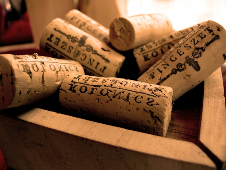 Kolonics pincészet vendégház - Somlóvásárhely