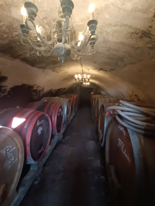 Kolonics pincészet vendégház - Somlóvásárhely