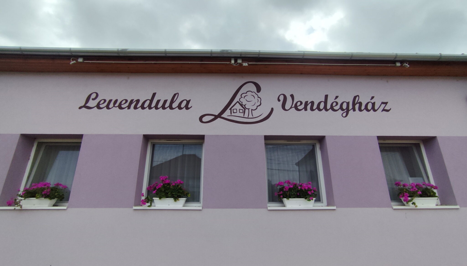 Levendula Vendghz