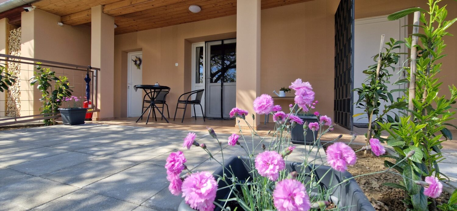 Levenduls hzik - Somogyacsa,Gerzdpuszta