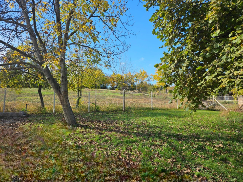 Marina Cottage - Enying
