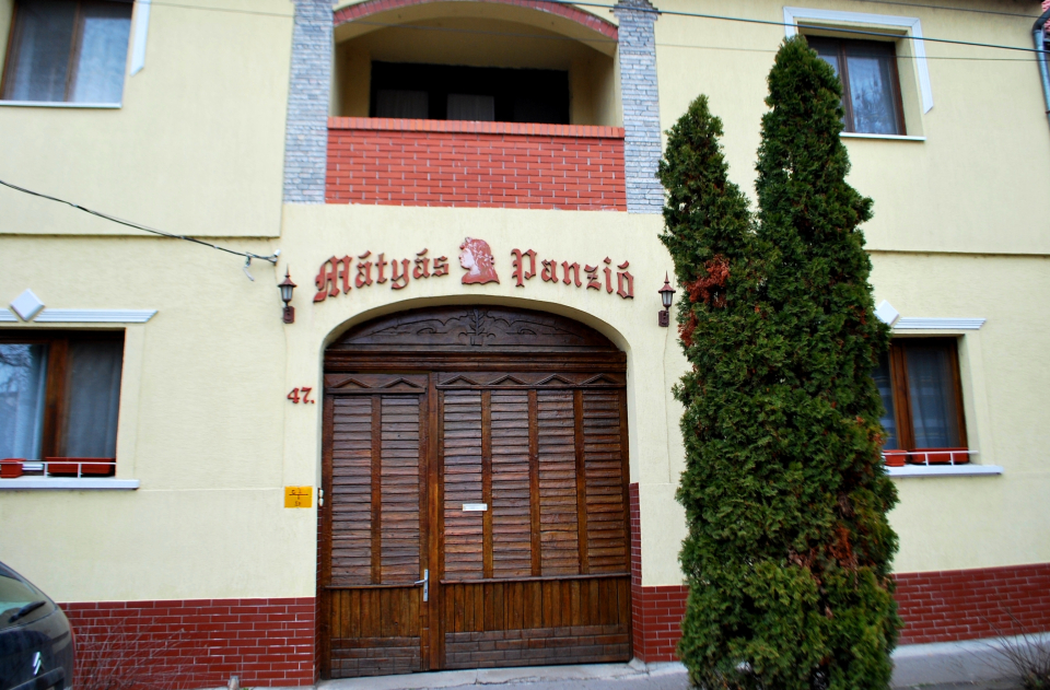 Mtys Panzi - Szeged