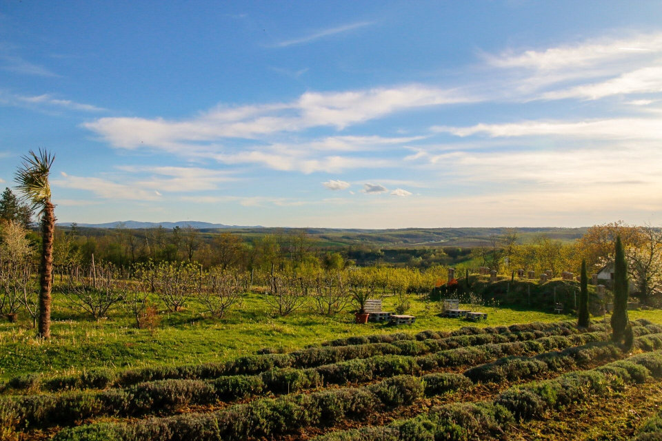 Mediterrn Birtok - Tevel
