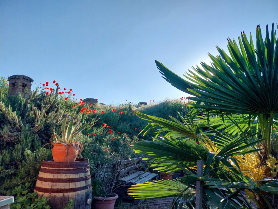 Mediterrn Birtok - Tevel