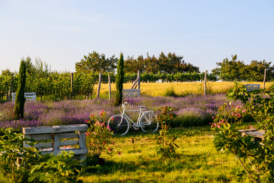 Mediterrn Birtok - Tevel