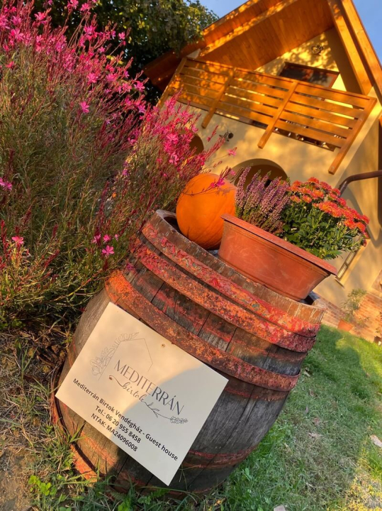 Mediterrn Birtok - Tevel