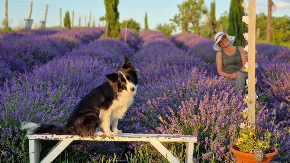 Mediterrn Birtok - Tevel