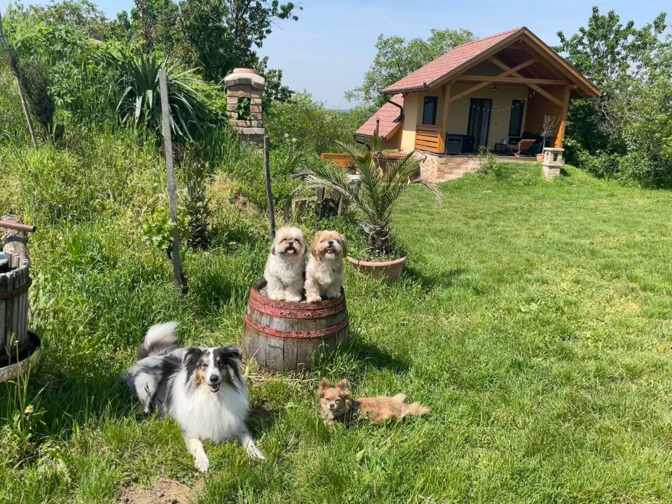 Mediterrn Birtok - Tevel