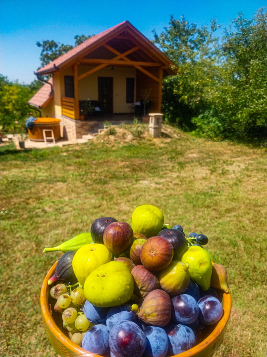 Mediterrn Birtok - Tevel