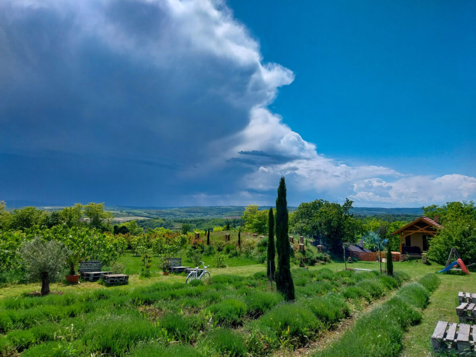 Mediterrn Birtok - Tevel